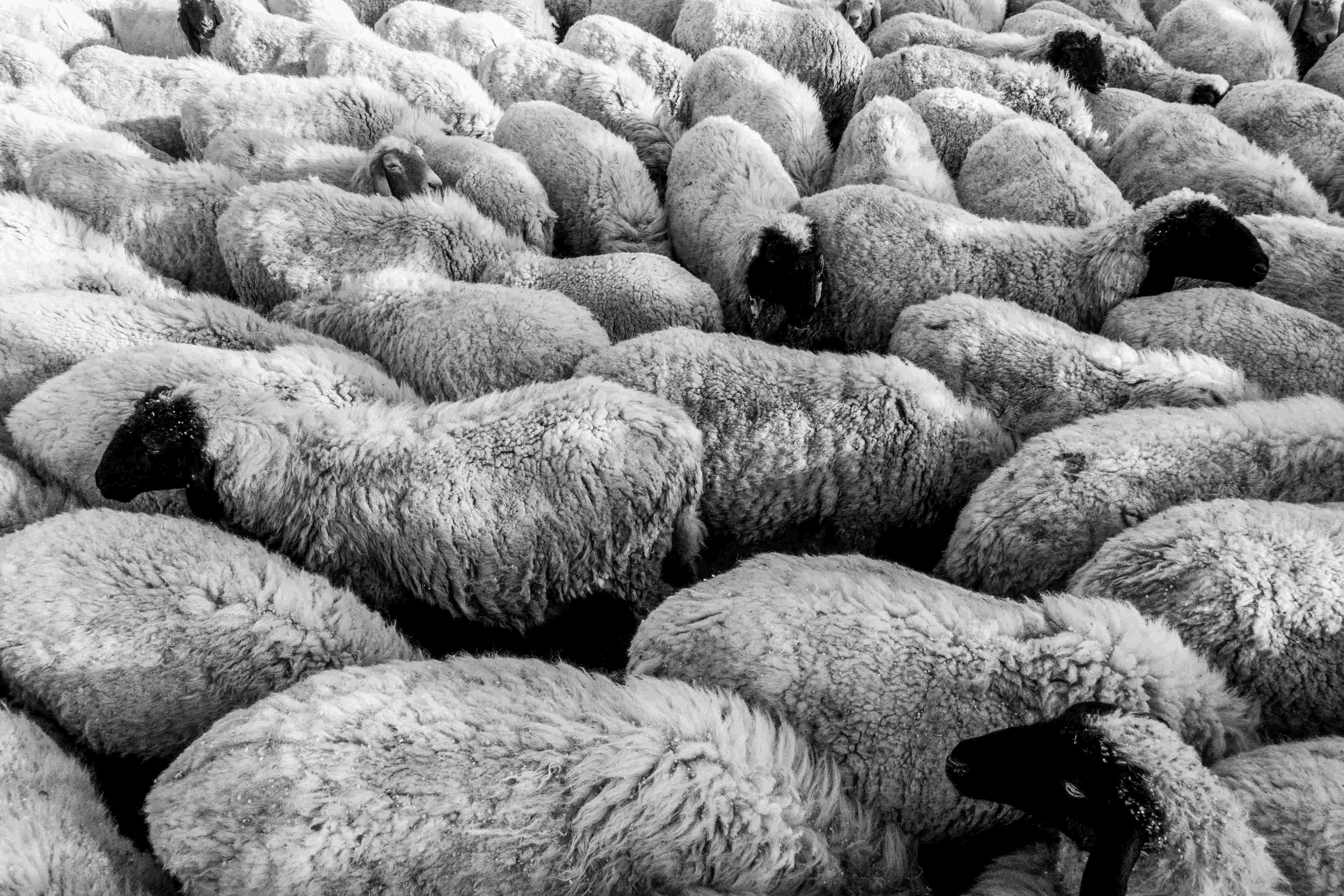 Come distinguersi dalla concorrenza e dominare la nicchia di mercato