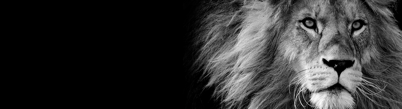 Se copi i tuoi concorrenti sei inutile: il coraggio di polarizzare